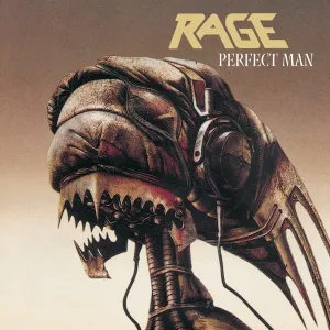 Perfect man