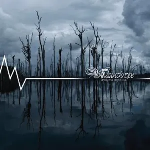 Aenigma Mystica