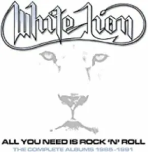 All You Need Is Rock N Roll