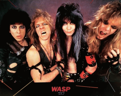 W.A.S.P.