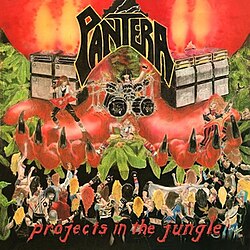Projects In The Jungle