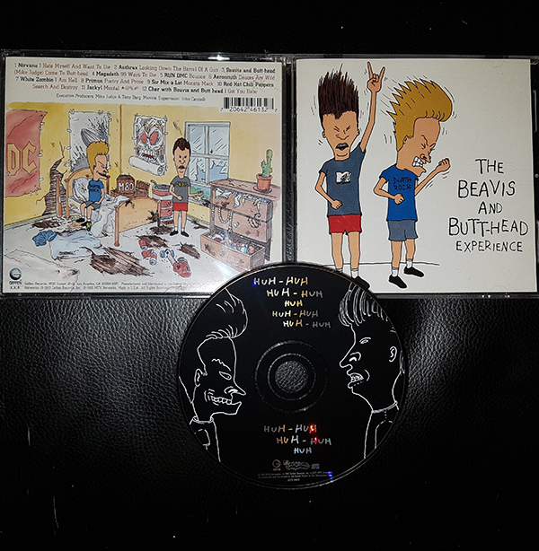 The Beavis And Butthead Experience